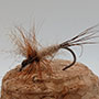 March Brown
